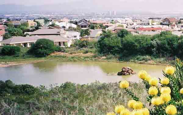 The fish pond in the Nature Reserve